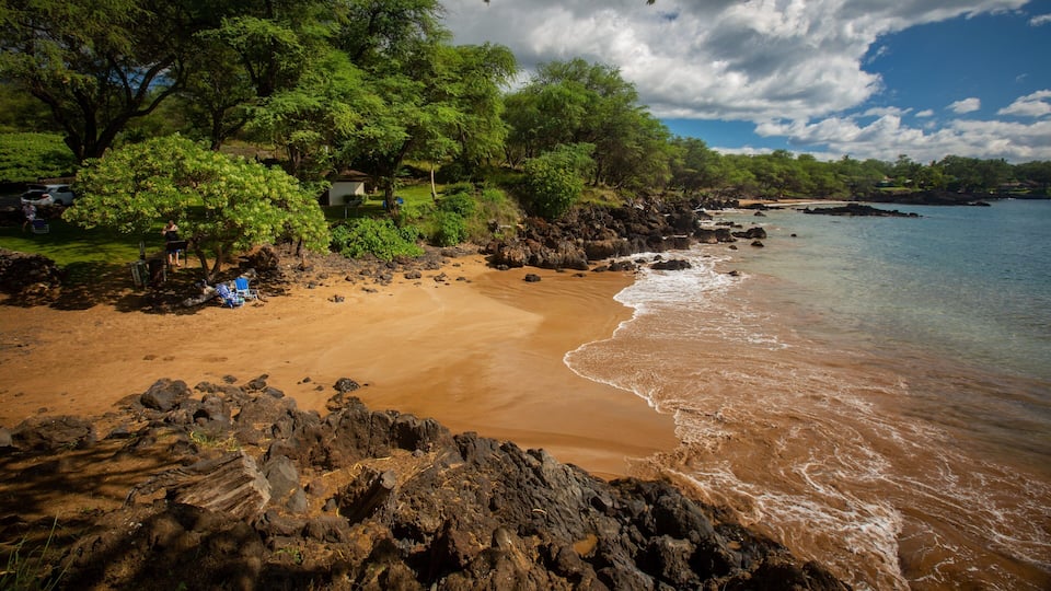 A beach with clear water, rocky shoreline, and lush greenery.