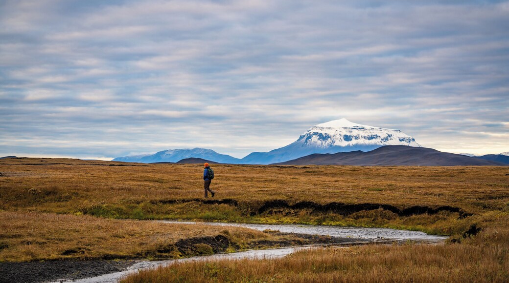 Camping overnight in a turf house village we decided to go on an #Adventure towards the snow capped Herdubreid the Queen.
Many Icelanders consider her to be the most beautiful mountain in all of Iceland. Herdubreid is actually a tuya, a flat topped volcano with steep sides that forms when lava erupts through a glacier.
This campsite was one of the most unique we stayed at with its all of its turf houses.