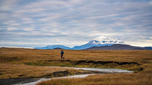 Camping overnight in a turf house village we decided to go on an #Adventure towards the snow capped Herdubreid the Queen.
Many Icelanders consider her to be the most beautiful mountain in all of Iceland. Herdubreid is actually a tuya, a flat topped volcano with steep sides that forms when lava erupts through a glacier.
This campsite was one of the most unique we stayed at with its all of its turf houses.