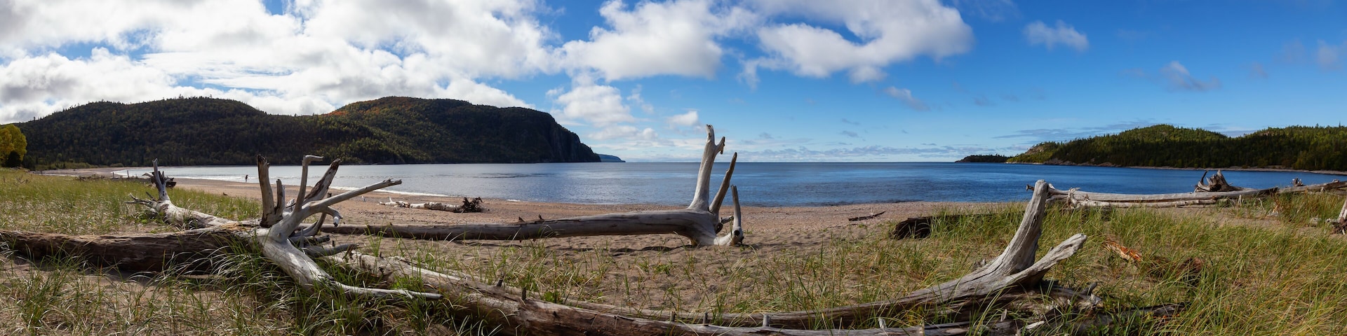 A beach with driftwood and a forested island in the background.