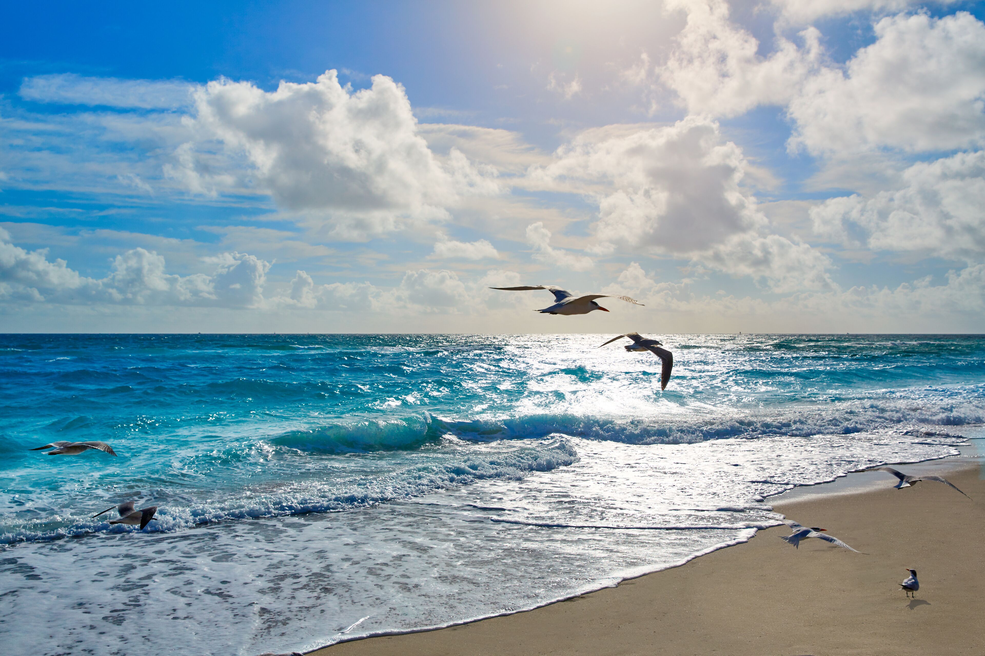 Singer Island beach at Palm Beach Florida US