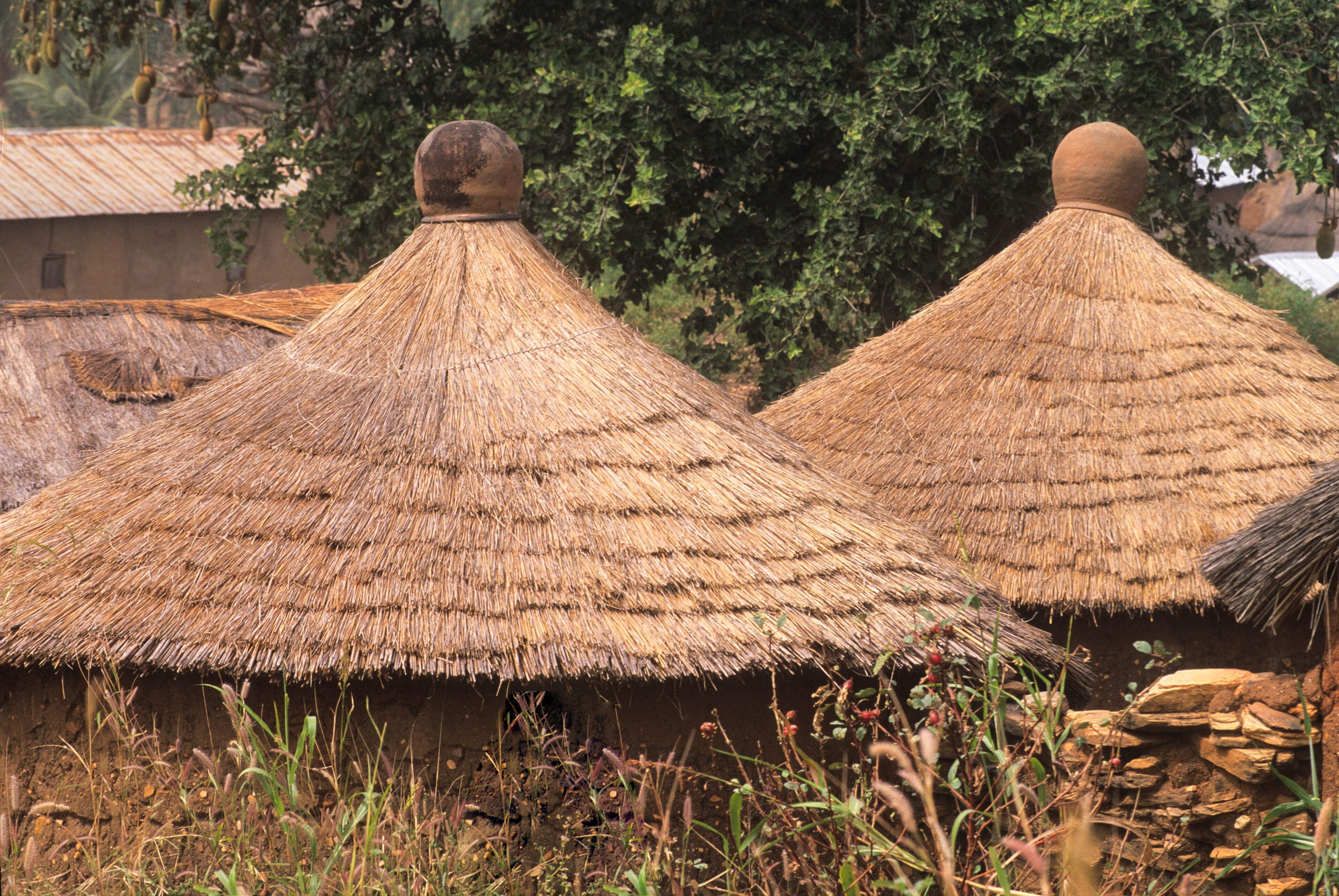 Taneka (or Tanewa, Tangba, Tongba) village, near Djougou, Donga department , Benin, Gulf of Guinea, West Africa