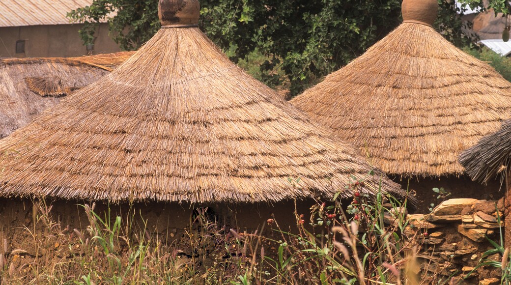 Taneka (or Tanewa, Tangba, Tongba) village, near Djougou, Donga department , Benin, Gulf of Guinea, West Africa