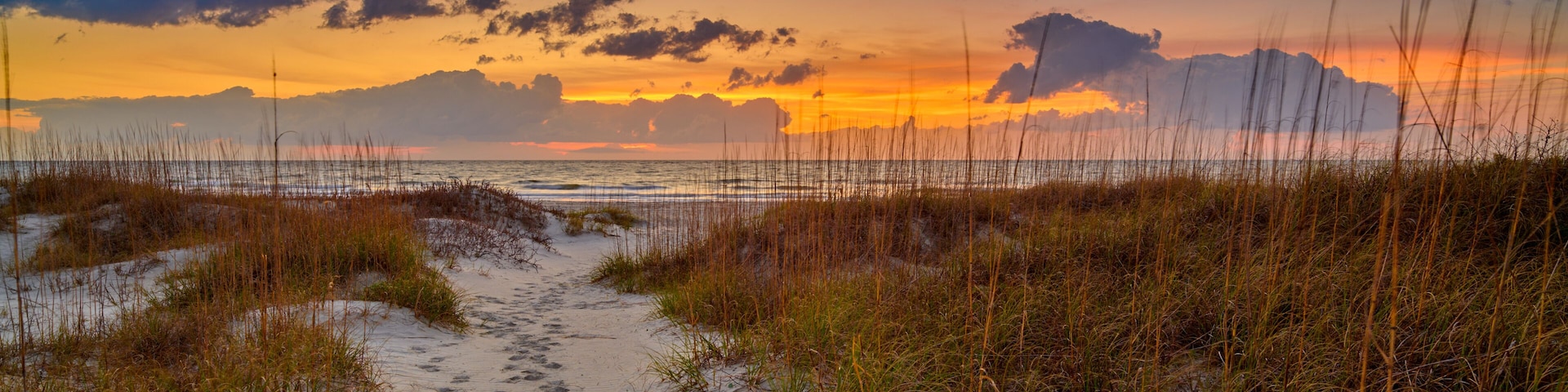 Sand dunes with footpath at sunrise, Hunting Island State Park South Carolina.