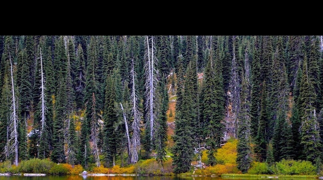 Steep elevation to this beautiful lake called snowslide for a reason. Soon this will be completely covered in white. #takeahike
