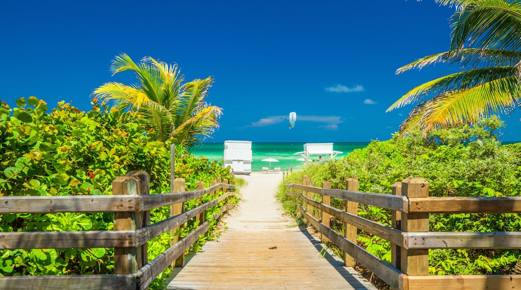 Walkway to the beach, wooden embankment. Miami Beach. Florida.