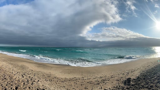 Beautiful morning on Stuart beach.