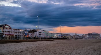 Hampton beach