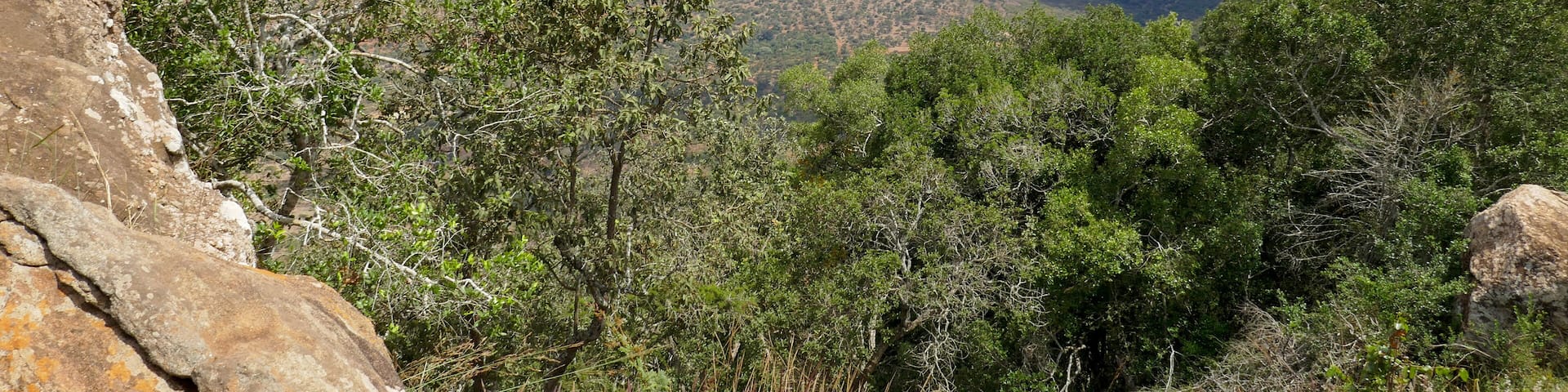 scenic view of Ole Muntus Hill in Sultan Hamud, Kenya