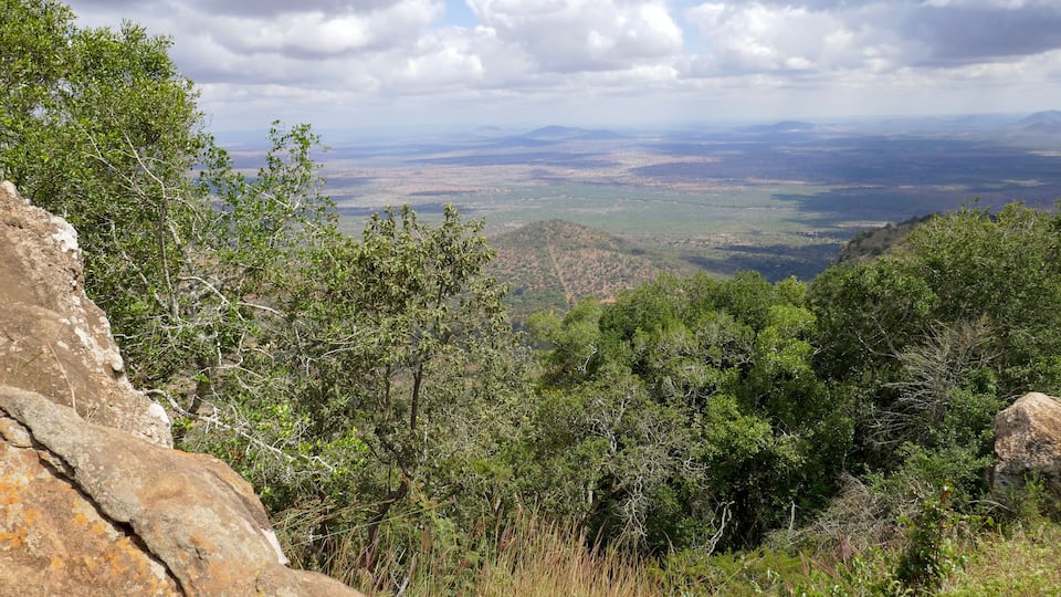 A mountainous landscape with dense green foliage and rocky outcrops.