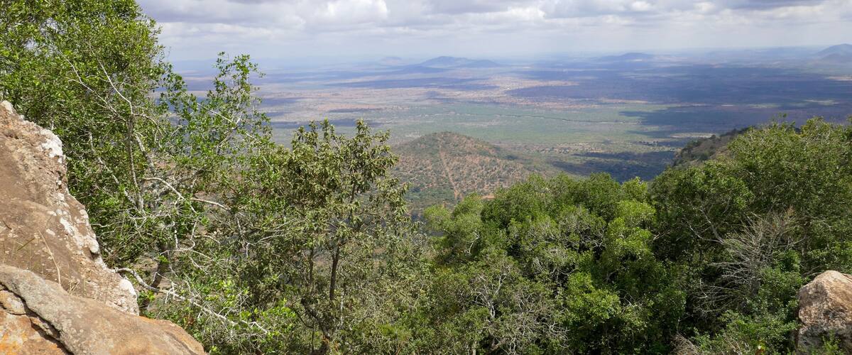 A mountainous landscape with dense green foliage and rocky outcrops.
