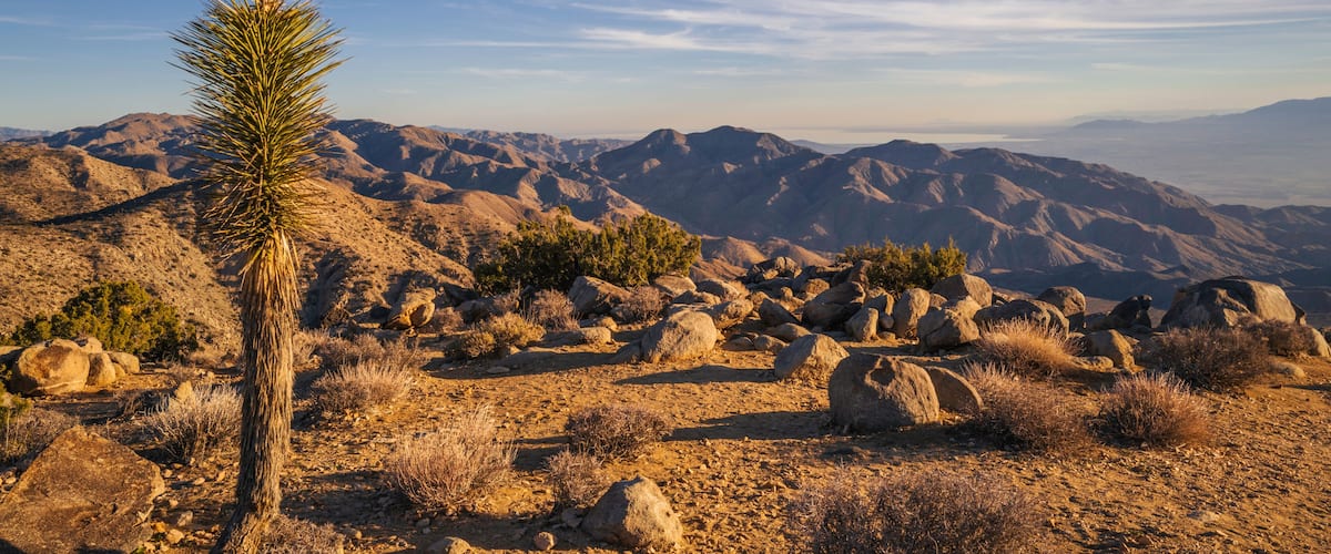 A desert landscape with rocky terrain, sparse vegetation, and distant mountains under a clear sky.