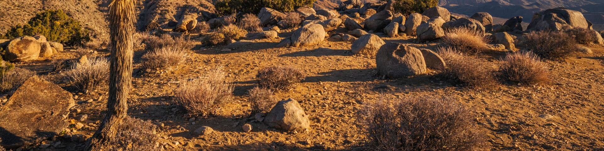 Paisaje desértico con terreno rocoso, vegetación escasa y montañas distantes bajo un cielo despejado.