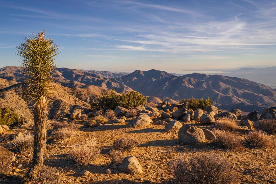 A desert landscape with rocky terrain, sparse vegetation, and distant mountains under a clear sky.
