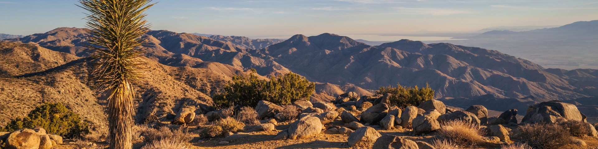 A desert landscape with rocky terrain, sparse vegetation, and distant mountains under a clear sky.