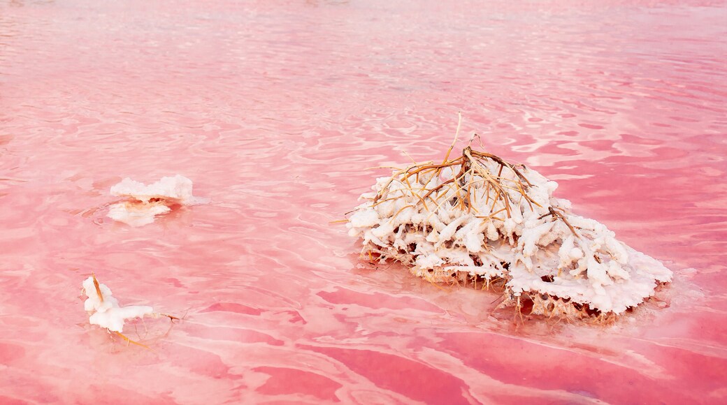 The pink lake is a beautiful landscape, unusual nature. A unique rare natural phenomenon. Salt lake with pink algae. Beautiful landscape.