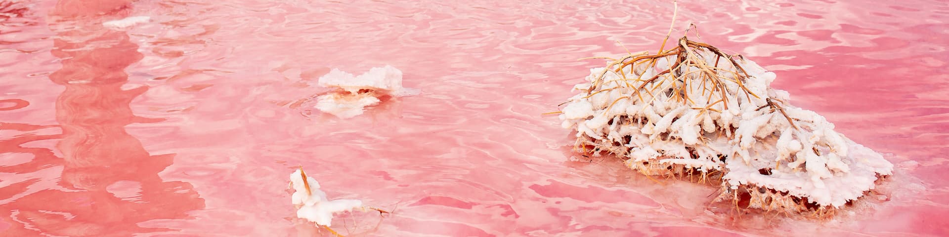 The pink lake is a beautiful landscape, unusual nature. A unique rare natural phenomenon. Salt lake with pink algae. Beautiful landscape.
