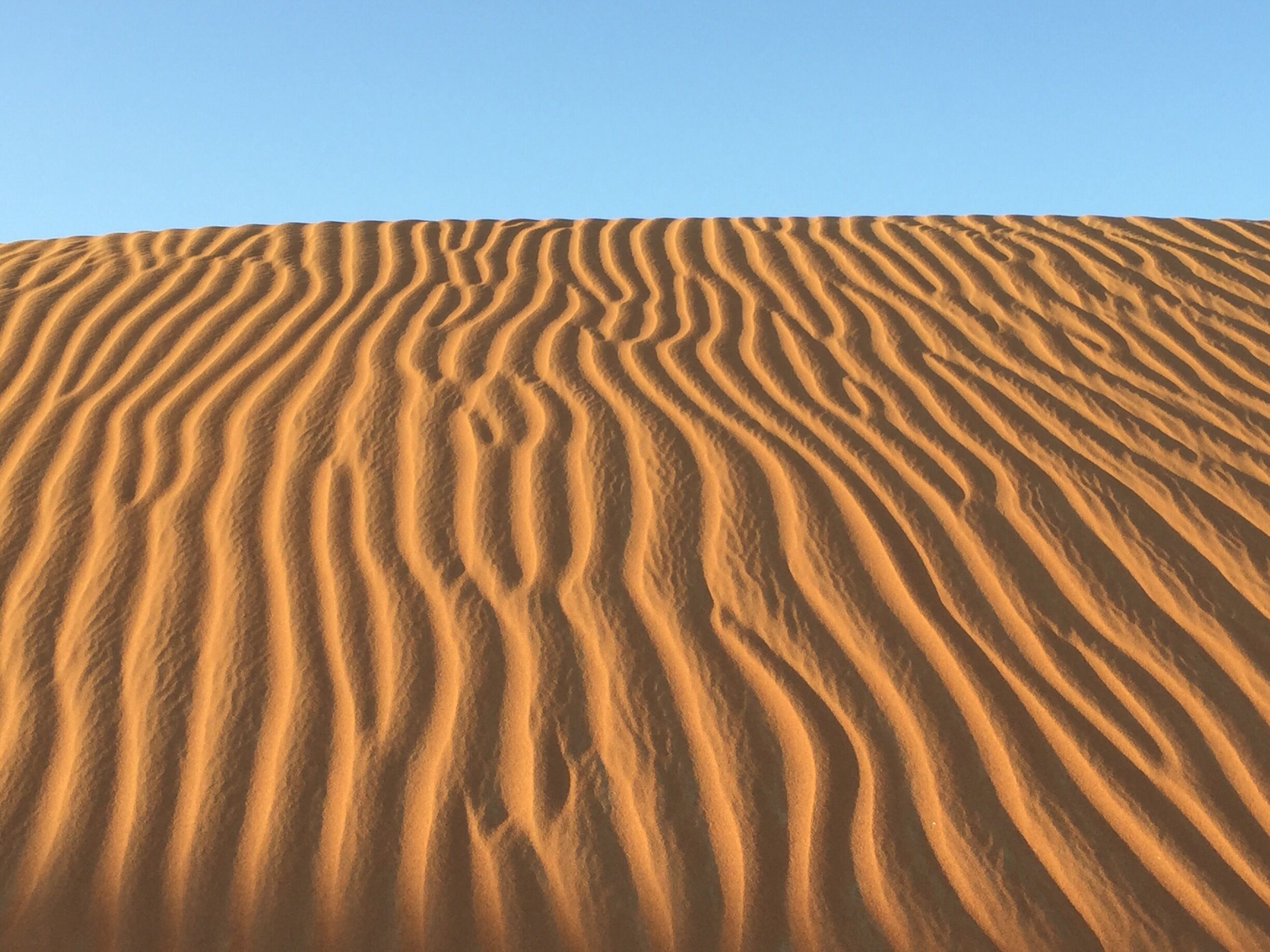 Sunset in the desert 