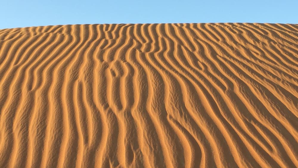 Sunset in the desert