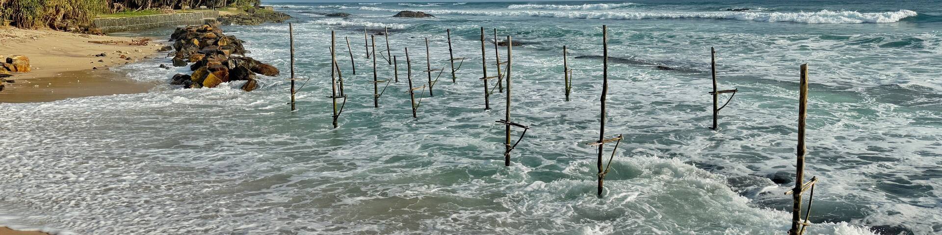 A beach with waves, palm trees, and a rocky shoreline.