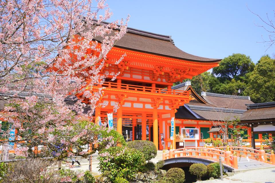 Un edifici japonès tradicional amb una estructura de color taronja brillant, envoltat de flors de cirera i un pont de pedra.