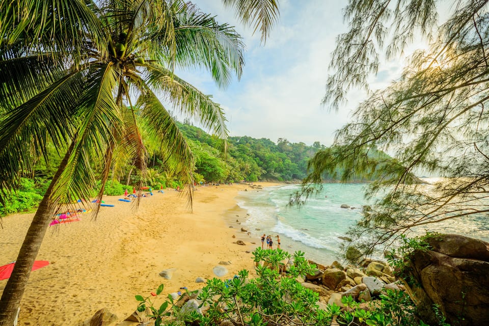 Une plage bordée de palmiers, une rive sablonneuse et une eau turquoise et cristalline.
