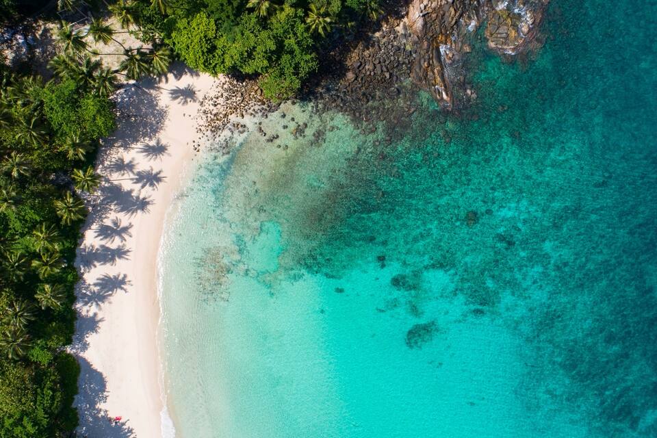 A turquoise beach with white sand and palm trees.