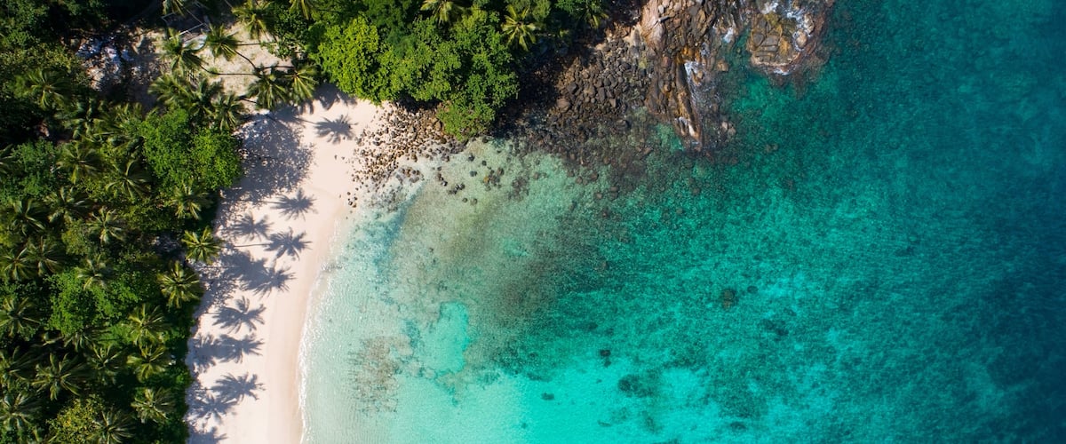 A turquoise beach with white sand and palm trees.