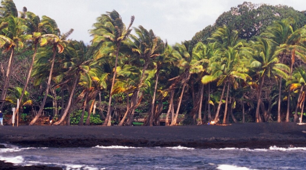 Pohoiki Beach