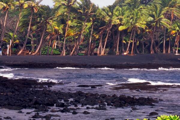 Palm trees on the Black Sand Beach, Hawaiian Islands, Hawaii, USA