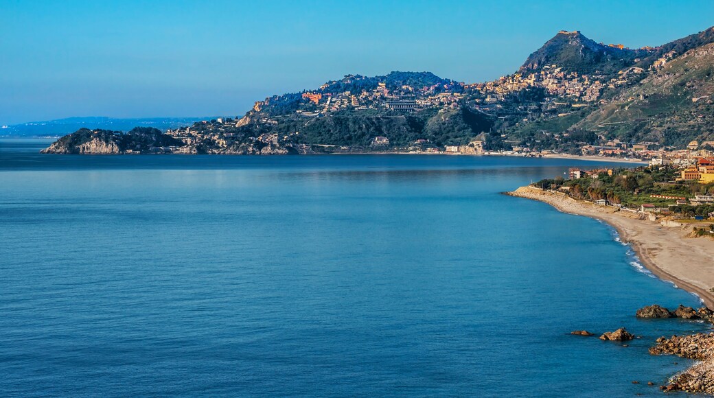 바우 바우 비치