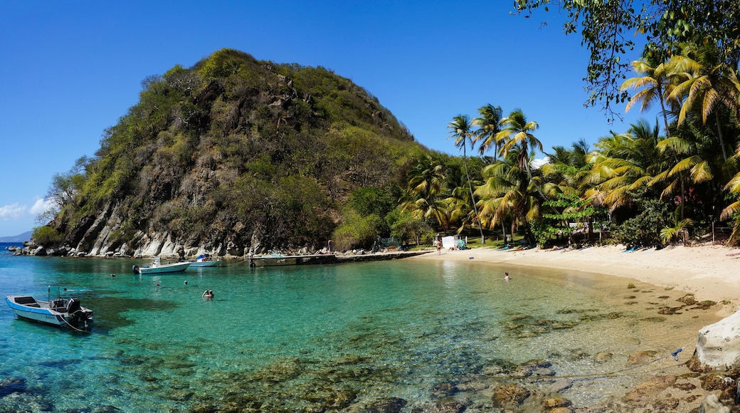 Plage du Pain de Sucre in Les Saintes, Guadeloupe,