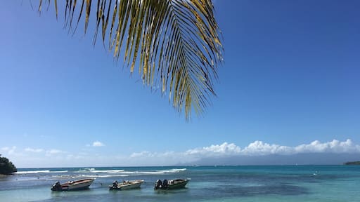 One of the many incredibly beautiful beaches of French Caribbean island Guadeloupe.