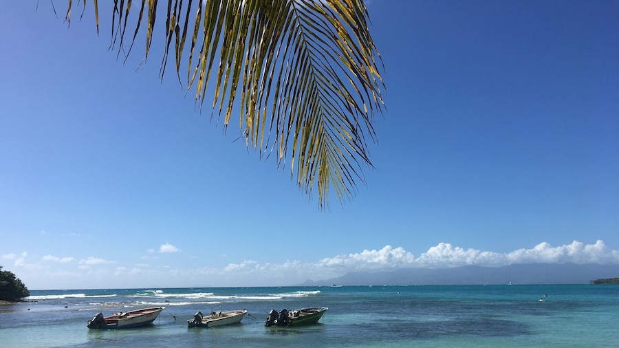 One of the many incredibly beautiful beaches of French Caribbean island Guadeloupe.