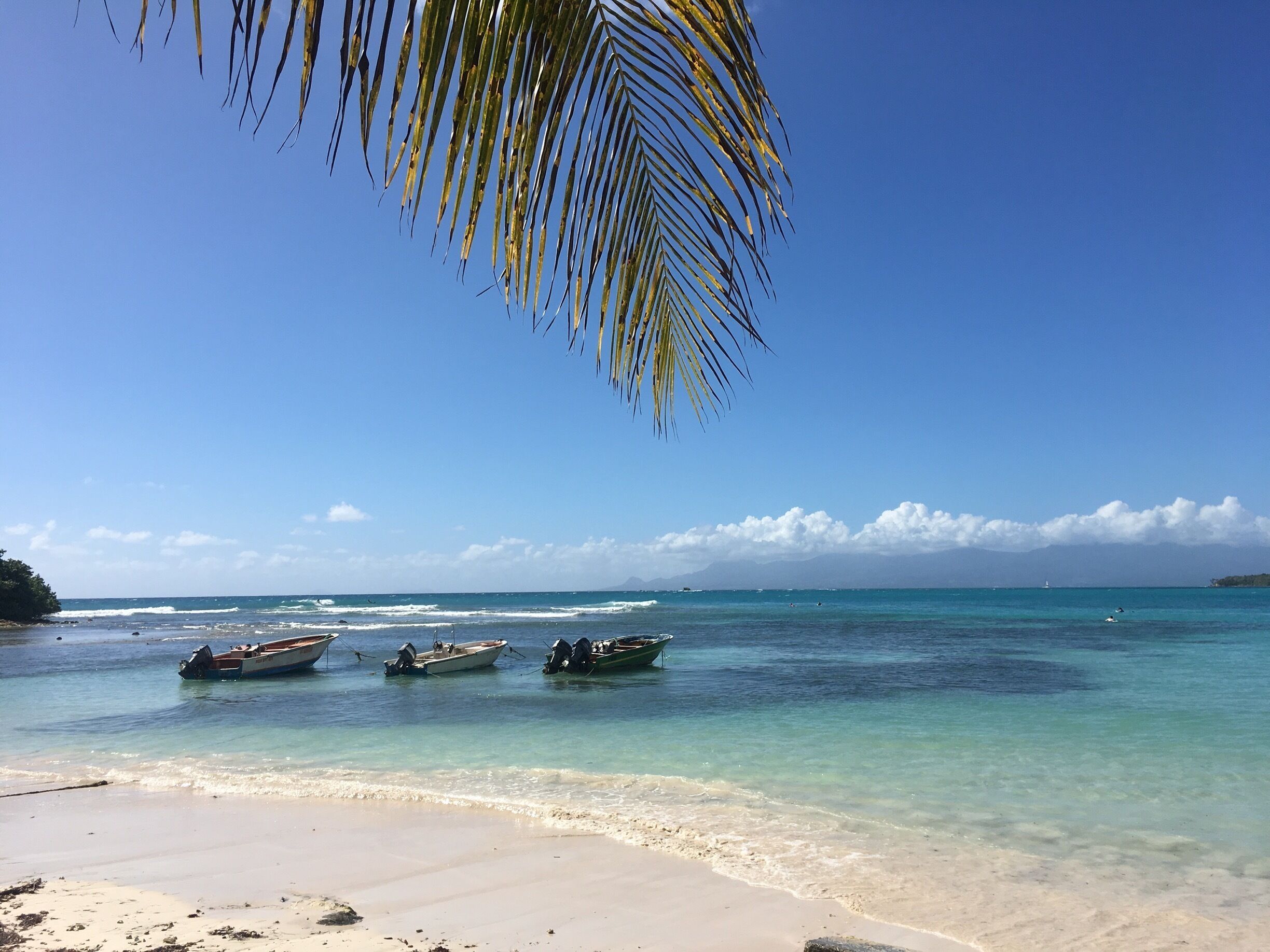 A beach with clear turquoise water, boats anchored near the shore, and a palm tree overhead.