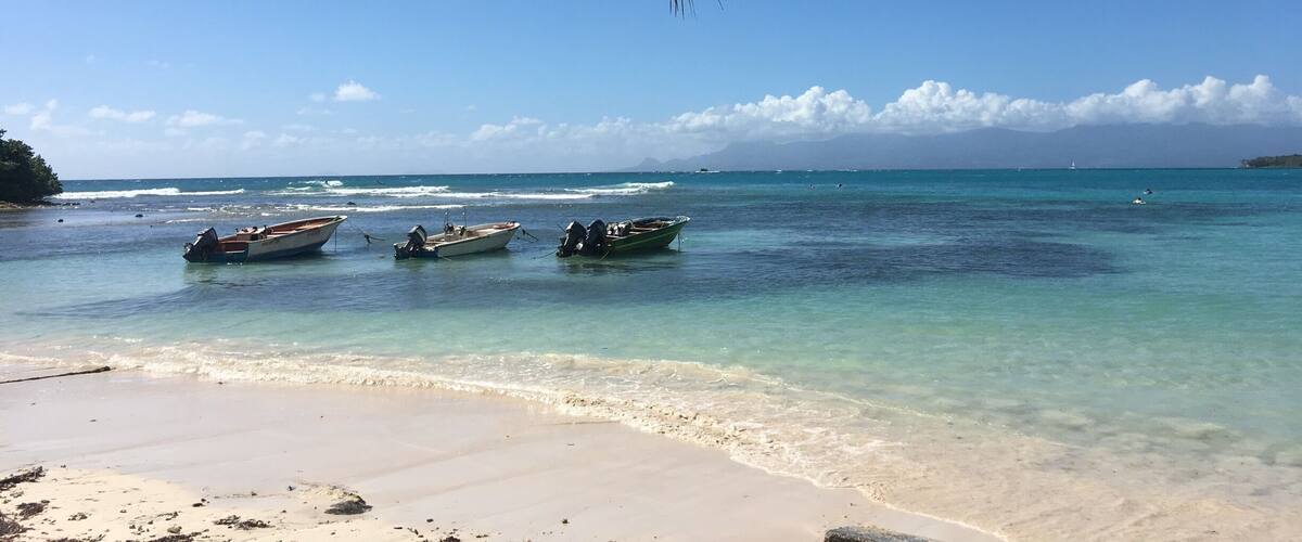 A beach with clear turquoise water, boats anchored near the shore, and a palm tree overhead.