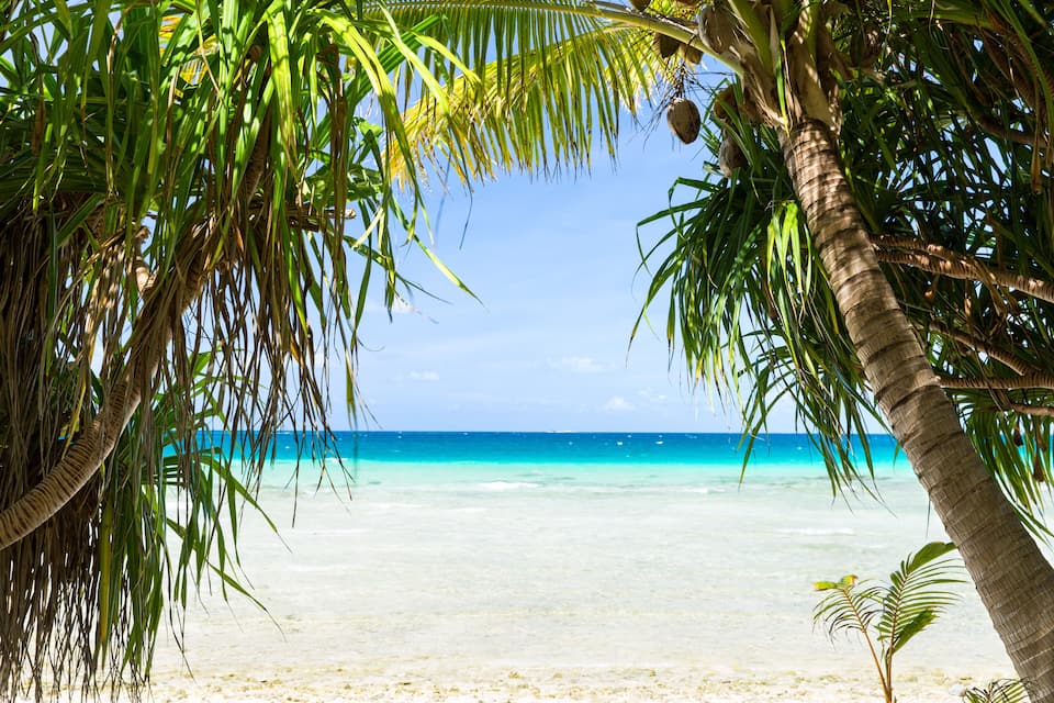 A beach with clear turquoise water, palm trees, and a sandy shore.