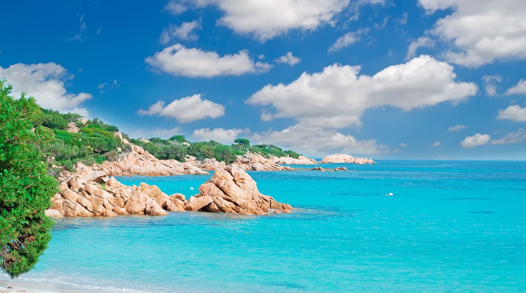 스피아자 카프리촐리 오베스트