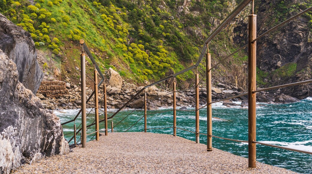 Narrow path with metal handrails leading down to the lovely and rocky Riomaggiore Beach (Spiaggia del Paese) in Cinque Terre, Italy.