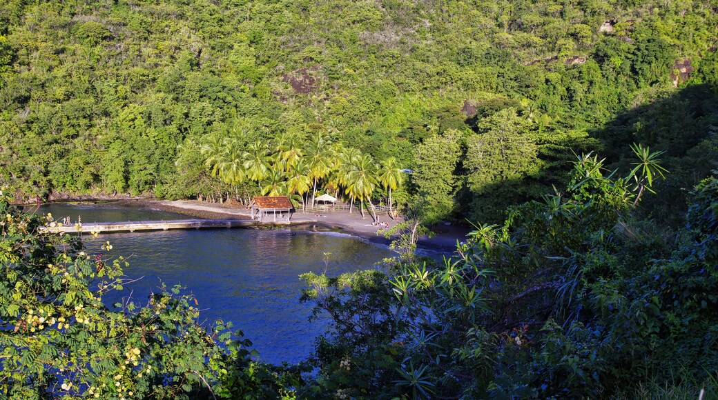 Anse Noire in Martinique, landscape of Les Anses d Arlet, France, Lesser Antilles