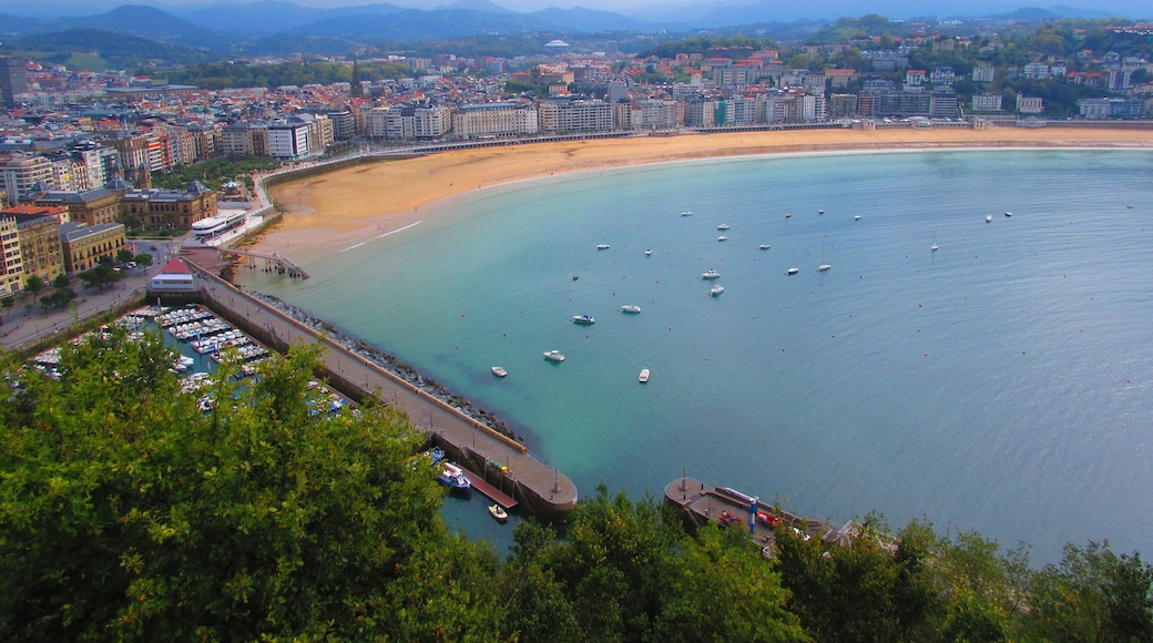 플라야 데 라 콘차