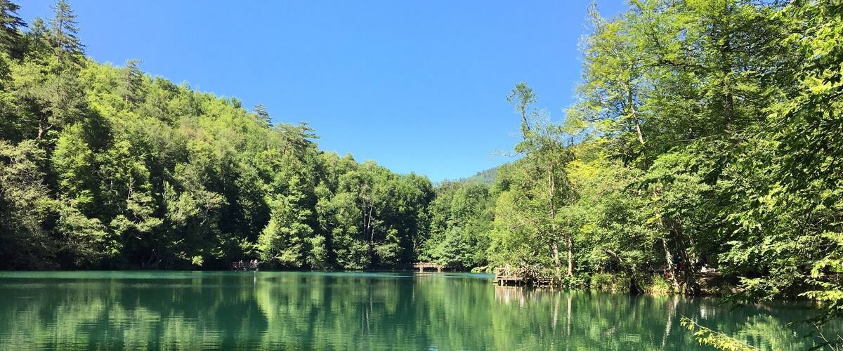 Un lac paisible, bordé d’une forêt verdoyante et luxuriante, sous un ciel bleu et dégagé.