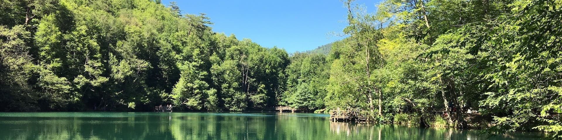 A calm lake surrounded by dense green forest under a clear blue sky.