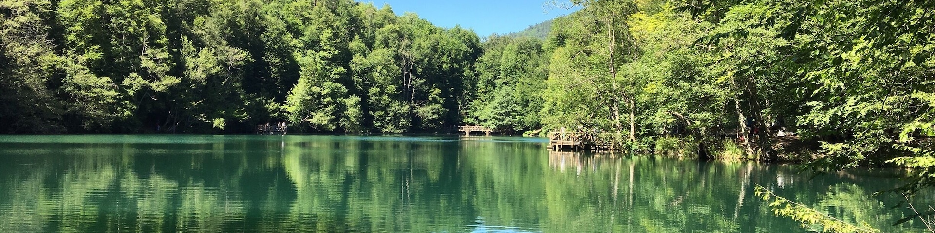 Um lago calmo rodeado por uma floresta verde densa sob um céu azul límpido.