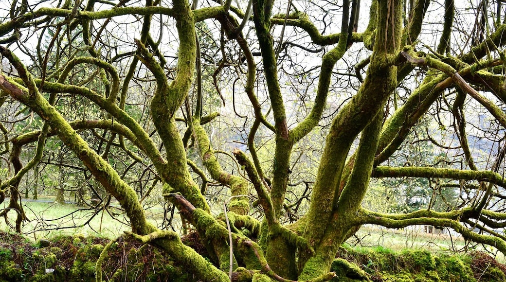 Reminds me the fairytales