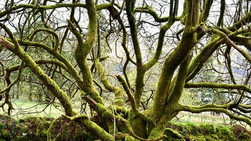 Reminds me the fairytales