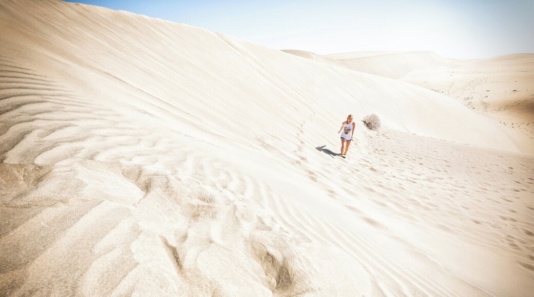 If your visiting Gran Canaria be sure to visit the Dunas de Maspalomas. The are quite a sight!