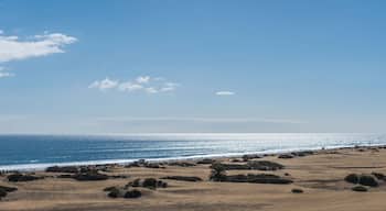 Playa Inglese, Maspalomas, Gran Canaria, January 2018
