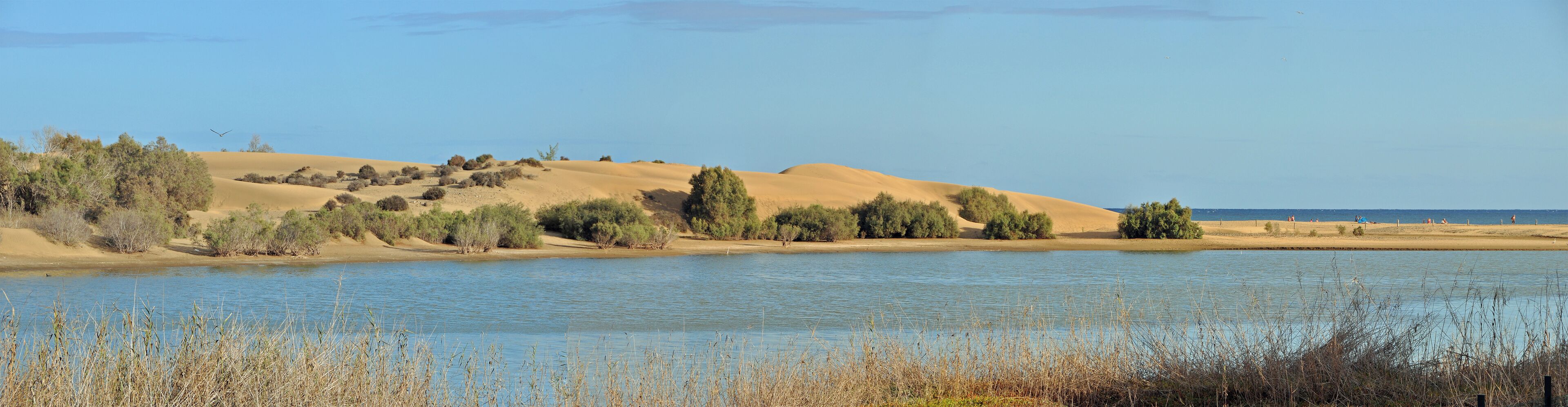 NOTE: This image is a panorama consisting of multiple frames that were merged or stitched in software. As a result, this image necessarily underwent some form of digital manipulation. These manipulations may include blending, blurring, cloning, and color and perspective adjustments. As a result of these adjustments, the image content may be slightly different than reality at the points where multiple images were combined. This manipulation is often required due to lens, perspective, and parallax distortions.