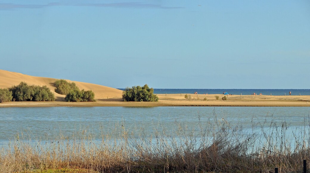 NOTE: This image is a panorama consisting of multiple frames that were merged or stitched in software. As a result, this image necessarily underwent some form of digital manipulation. These manipulations may include blending, blurring, cloning, and color and perspective adjustments. As a result of these adjustments, the image content may be slightly different than reality at the points where multiple images were combined. This manipulation is often required due to lens, perspective, and parallax distortions.